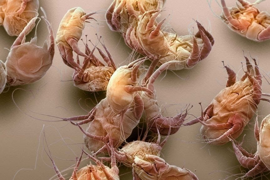 نقاط بسيطة عن الأخبار المتداولة عن فعالية دواء ال Ivermectin في علاج الكورونا