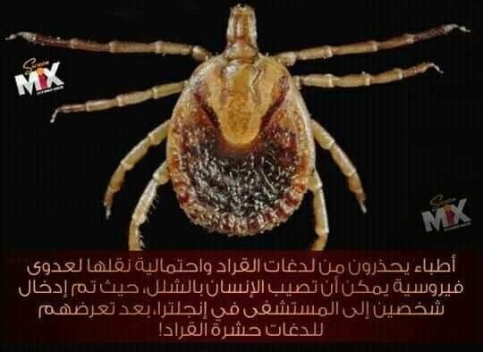 احذروا من أن تخدعكم أخبار الامراض المفزعة بزمن الكوفيد-19
