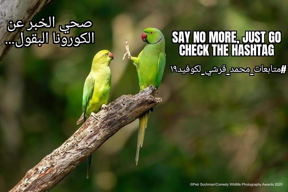 ملل تكرار نفس الإشاعات والاسئلة والمخاوف والمعلومات المكرره بعد الناس اتذكروا…