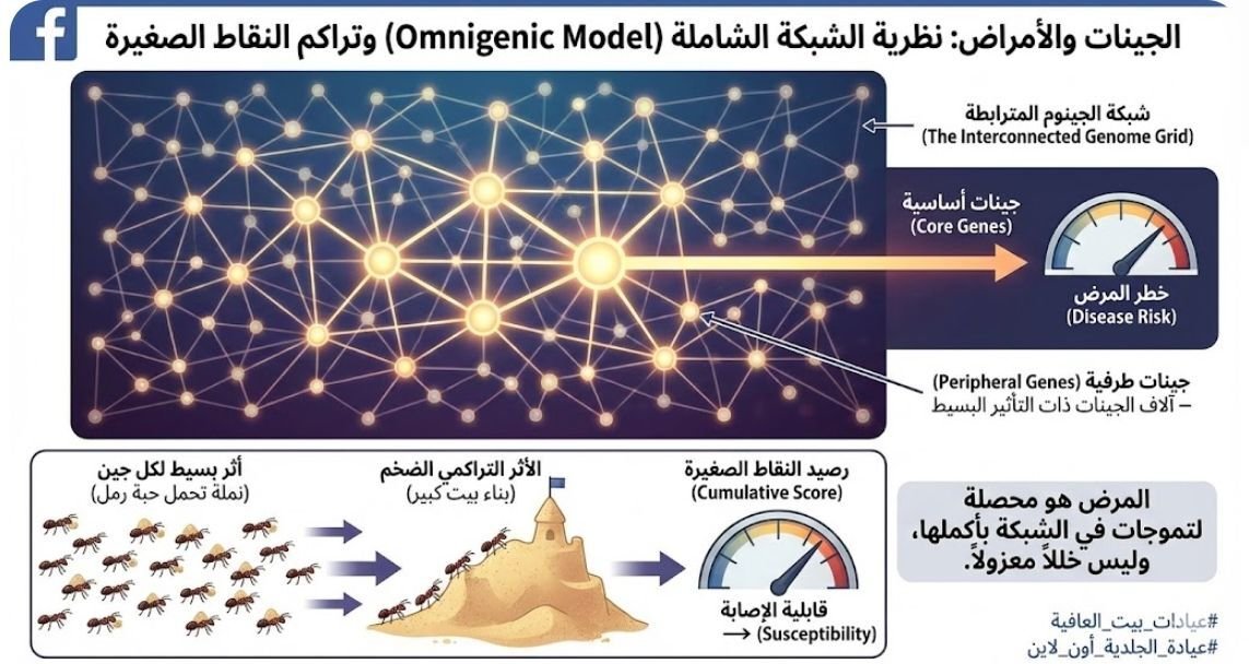 نظرية الشبكة وتراكم النقاط الصغيرة