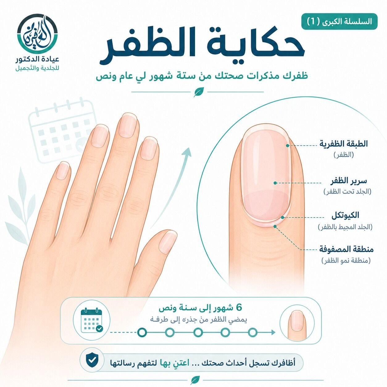 ظفرك مذكرات صحتك من ستة شهور لي عام ونص